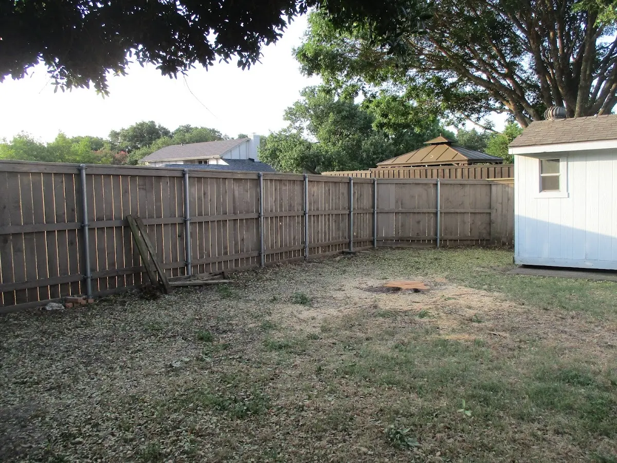 Cleared yard after professional tree removal in Mount Holly